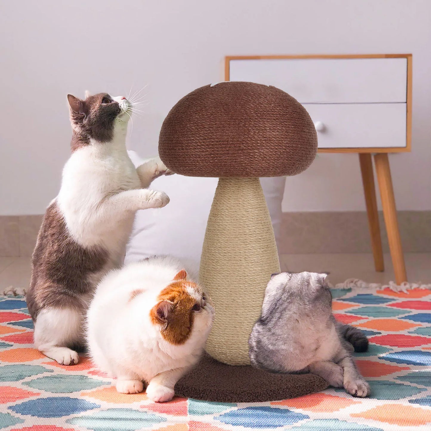 Arbre à Chat Durable Confort Optimal