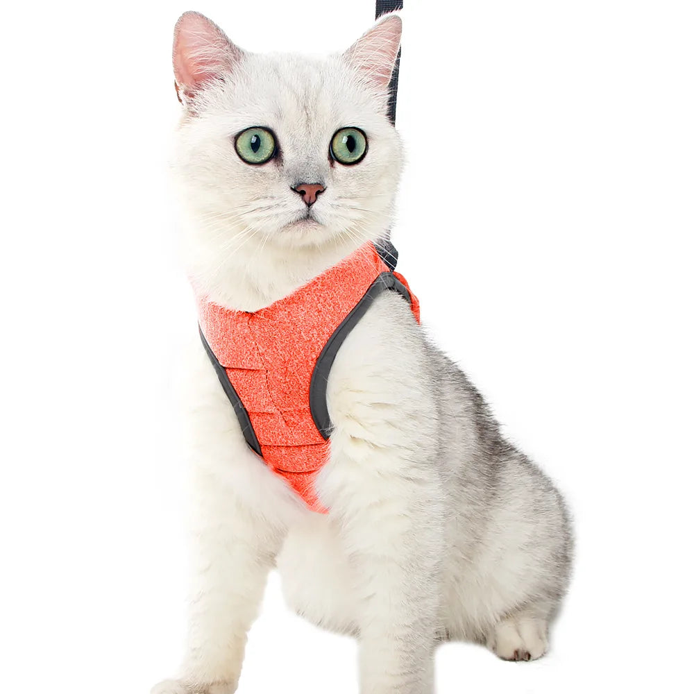 Ceinture chat anti-fuite réglable confort