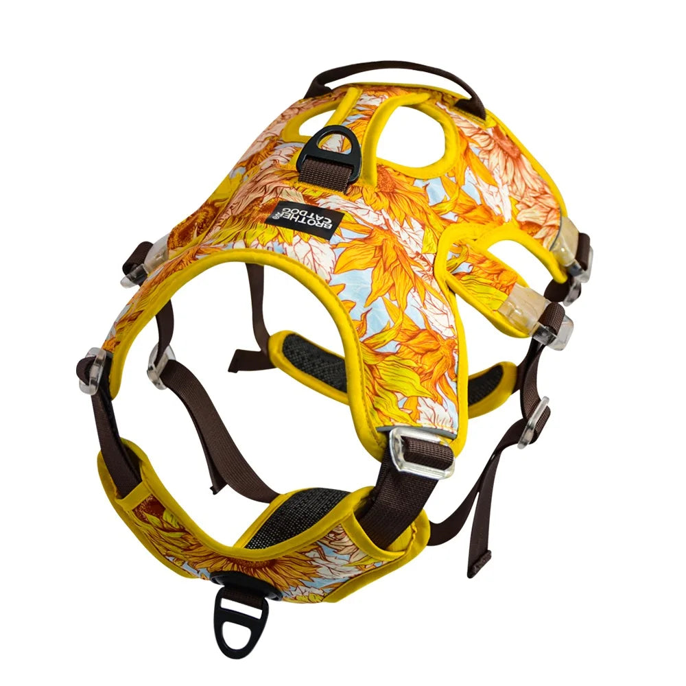 Harnais chien antitraction confort optimal