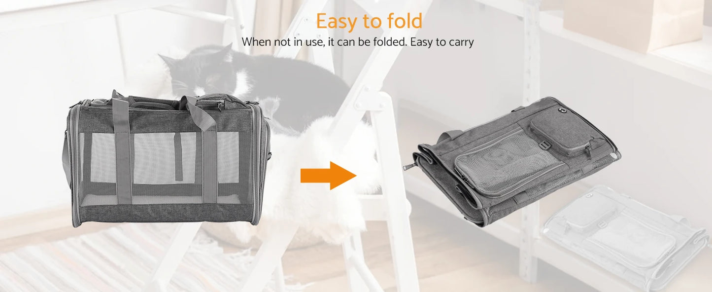 Transport animaux avion sécurisé rapide