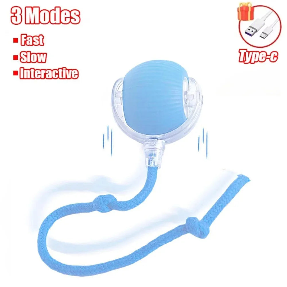 Balle interactive chat stimulante rechargeable