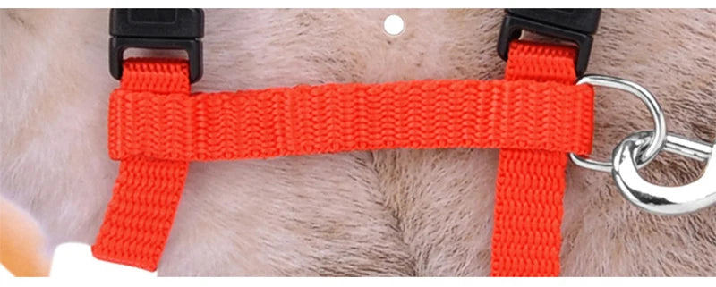 Collier réglable en nylon.