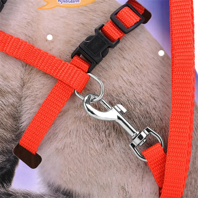 Collier réglable en nylon.