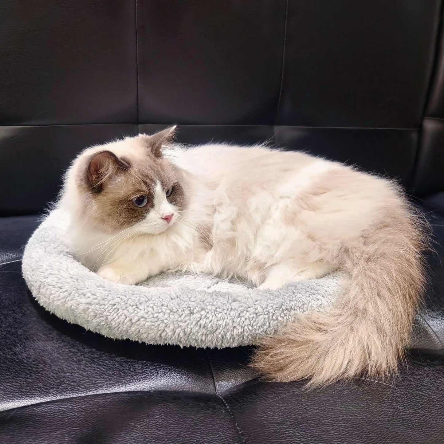 New Design Pet Bed for Cat Dog Curling Sleep Mat Anti-slip Cat Pad Dog Self-Warm Sofa in Grey Color