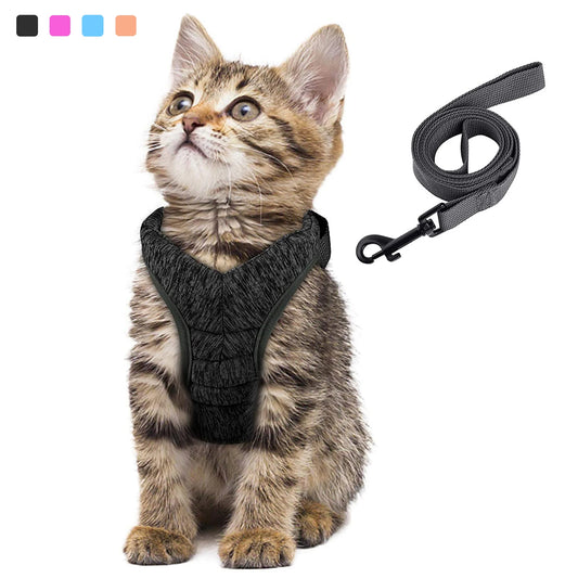 Ceinture Anti-fuite réglable pour petit chat.