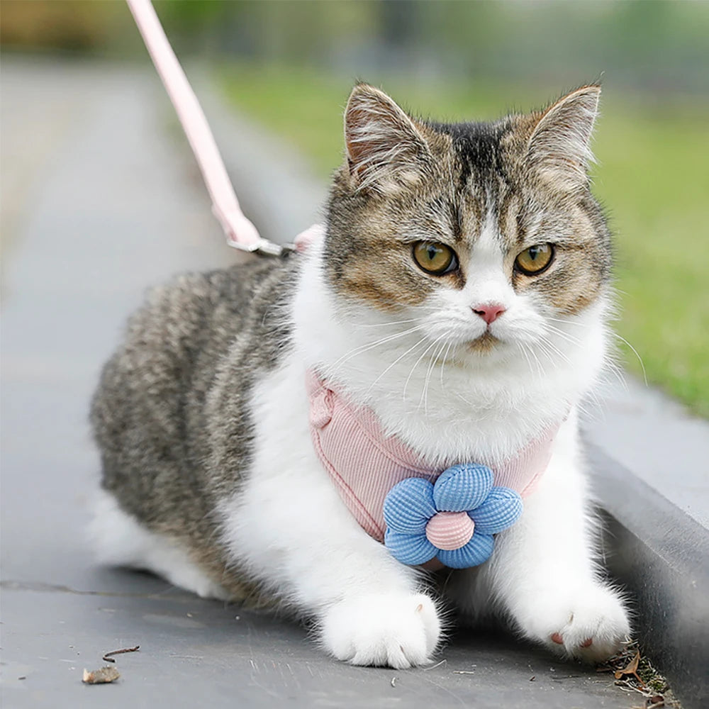 Floral Print Cat Harness and Leash Set, Adjustable Escape-Proof Soft Mesh Vest, Reflective Kitten Harness for Walking, Training,