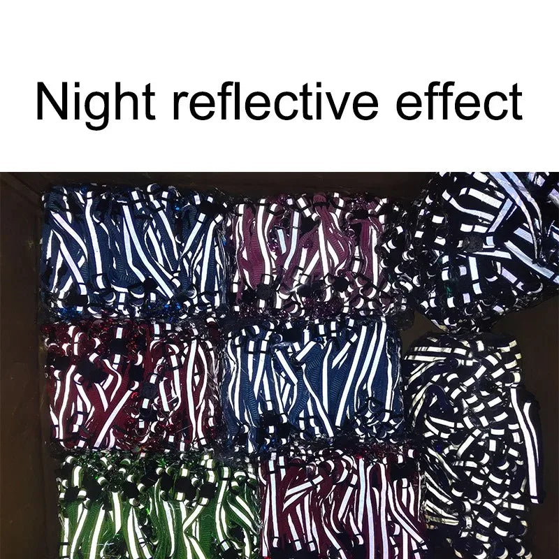 Colliers chat cloche confort sécurisé