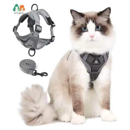 laisse pour chat