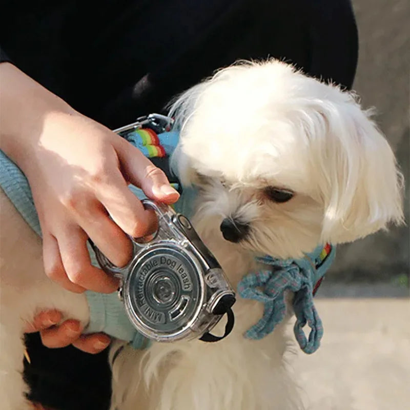 Automatic Retractable Small Dog Leash 3m Ultralight Portable Nylon with Locking Alloy Clip for Outdoor Jogging Hiking Travel