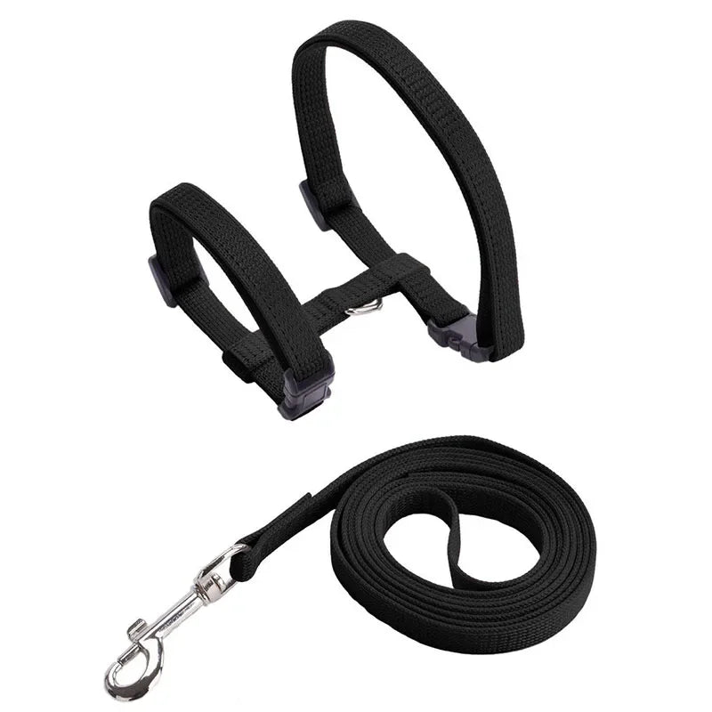 Kitten Cat Harness Leash Set Walking Escape Proof Adjustable Nylon Halter Collar Harness for Cats Puppy Rabbit Pet Accessories