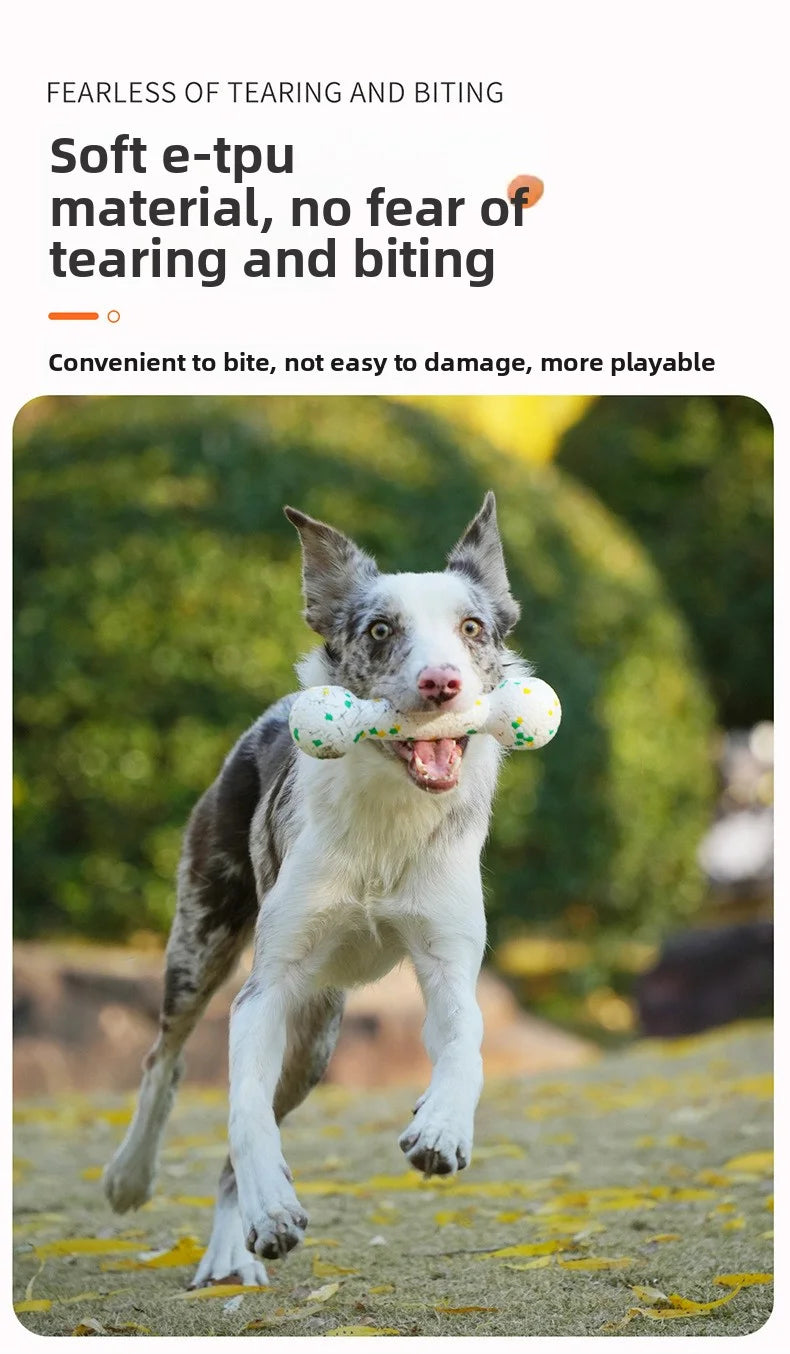 Dog interactive training toy with rope and bone for chewing - perfect for pet playtime!