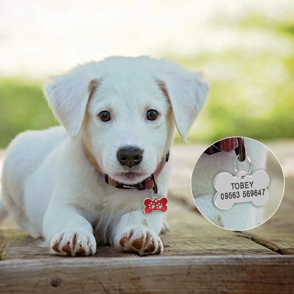 Médaillon identification personnalisé gain sécurité