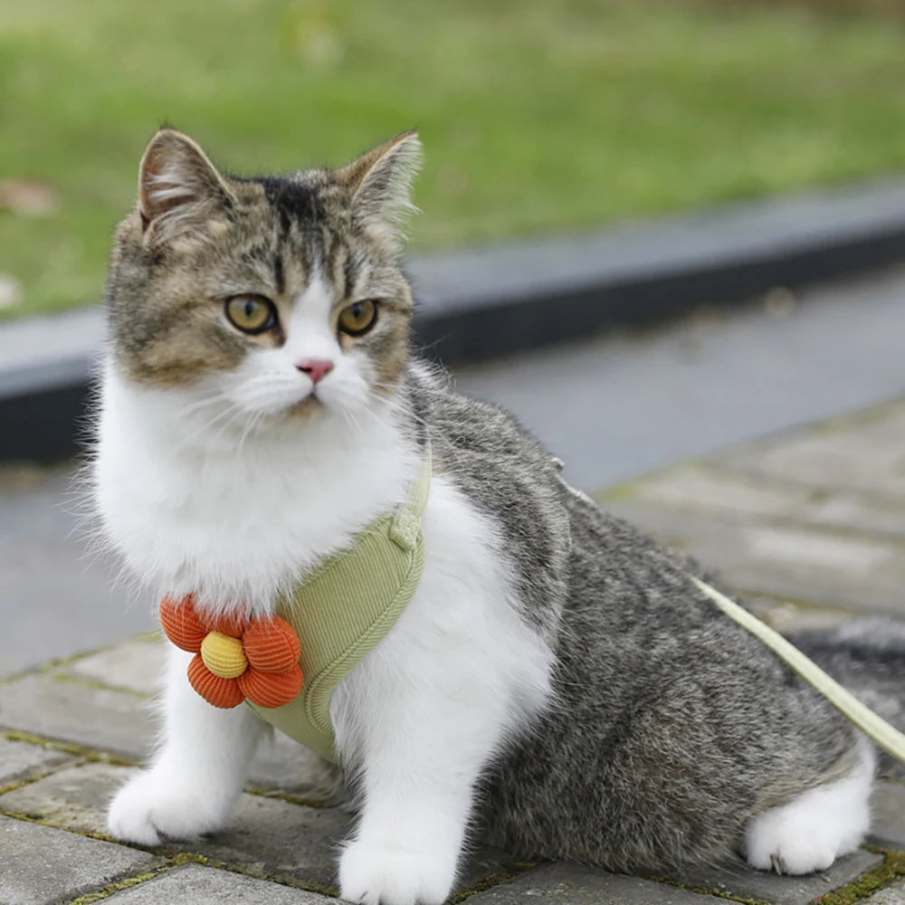 Floral Print Cat Harness and Leash Set, Adjustable Escape-Proof Soft Mesh Vest, Reflective Kitten Harness for Walking, Training,