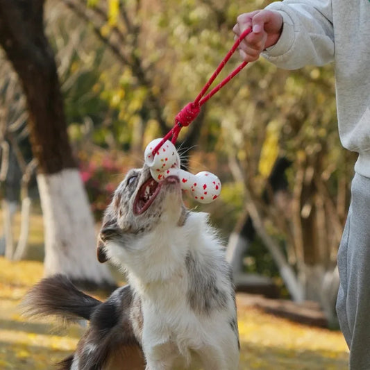 Dog interactive training toy with rope and bone for chewing - perfect for pet playtime!