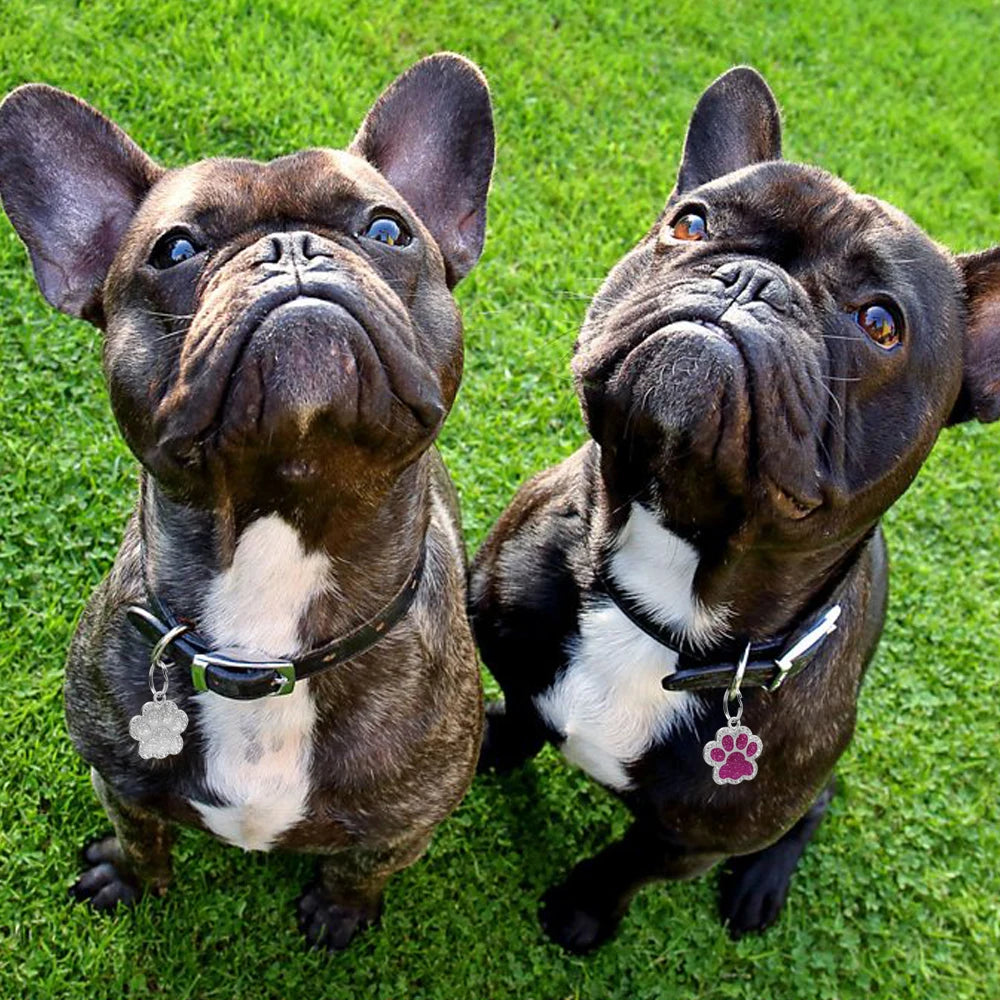 Médaillon identification personnalisé gain sécurité