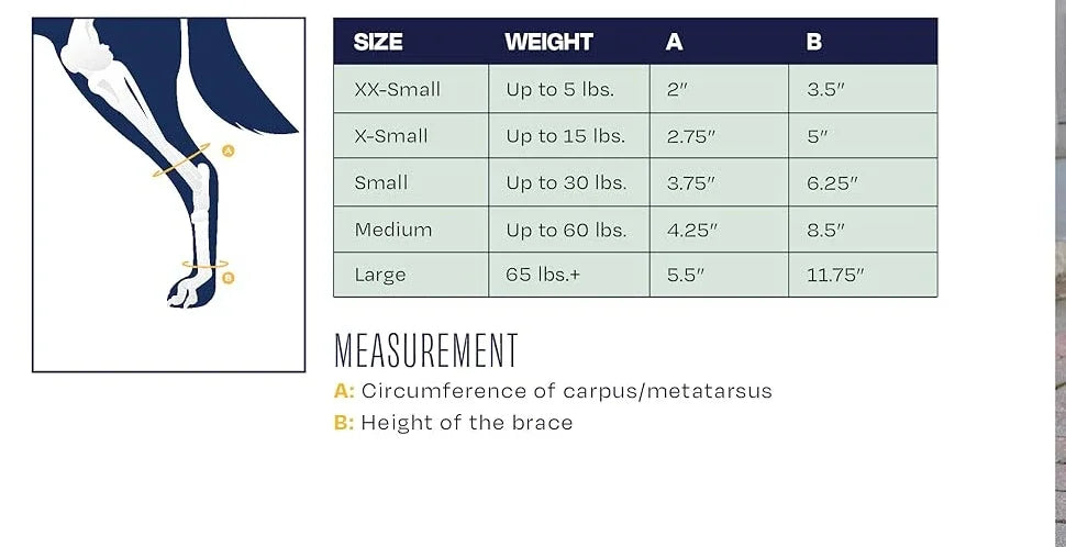 Splint Carpal Hyperextension Dog Brace ,Supports Fractures Sprains, Front Leg Support (Small Breeds)  Ankle Splint Brace