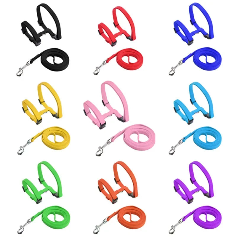 Kitten Cat Harness Leash Set Walking Escape Proof Adjustable Nylon Halter Collar Harness for Cats Puppy Rabbit Pet Accessories