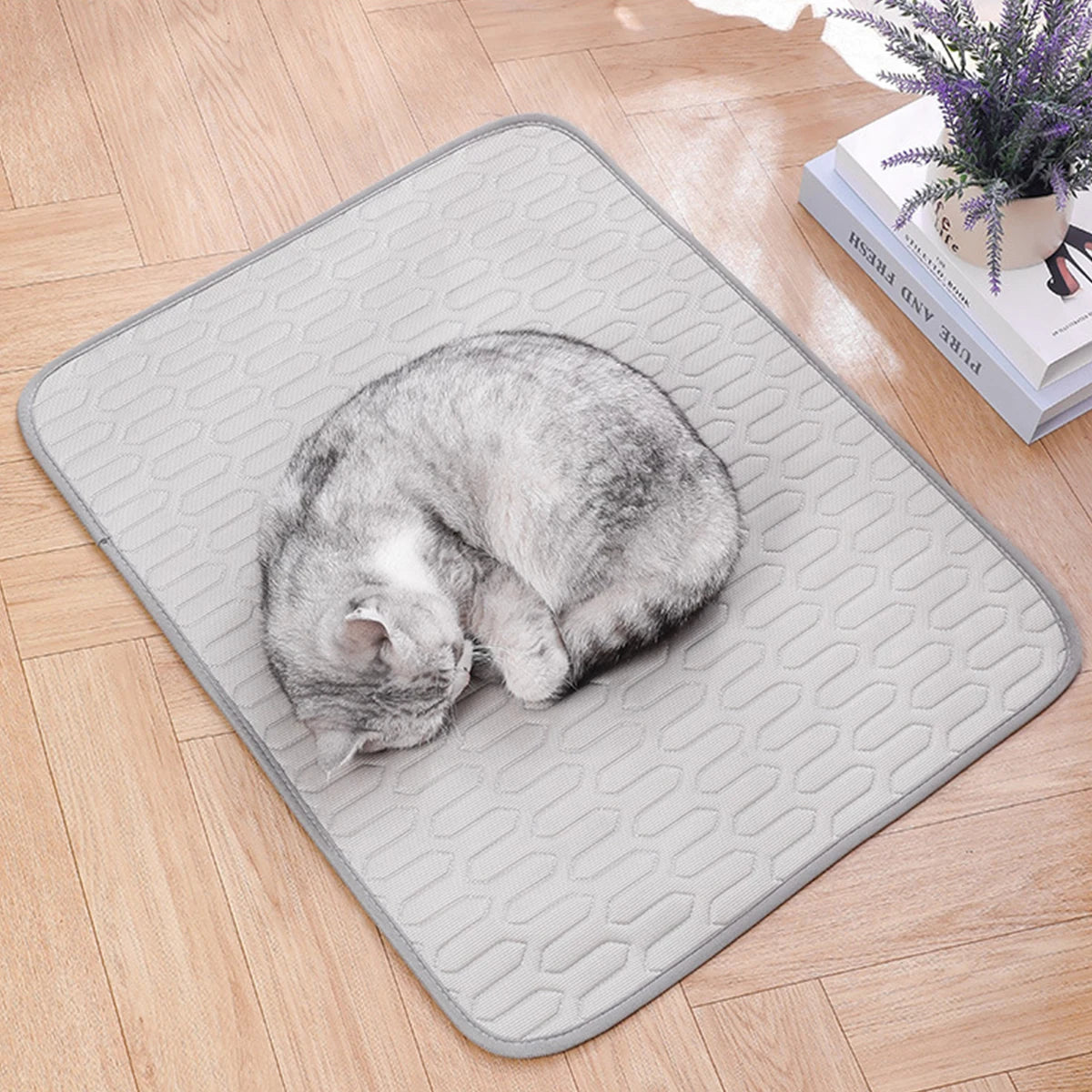 Ice Fabric Cat Bed Cooling Dog Summer Bed for Small Dog Mat Non-slip Cat Sleeping Mat Pet Mat for Dog Chihuahua French Bulldog