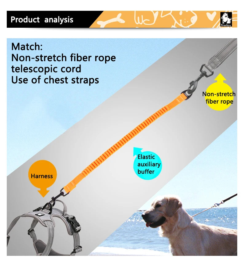 Truelove Short Bungee Leash Nylon Leash For dog collar Extension Retractable For All Breed Training Running walking TLL29712