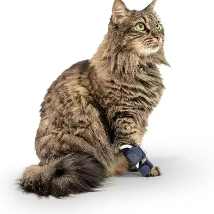 Splint Carpal Hyperextension Dog Brace ,Supports Fractures Sprains, Front Leg Support (Small Breeds)  Ankle Splint Brace