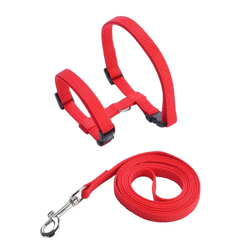 Kitten Cat Harness Leash Set Walking Escape Proof Adjustable Nylon Halter Collar Harness for Cats Puppy Rabbit Pet Accessories