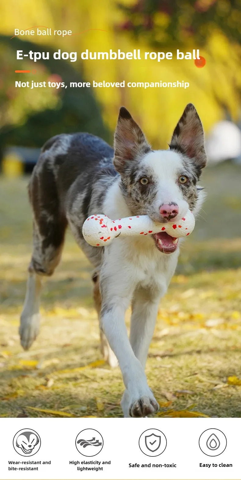 Dog interactive training toy with rope and bone for chewing - perfect for pet playtime!