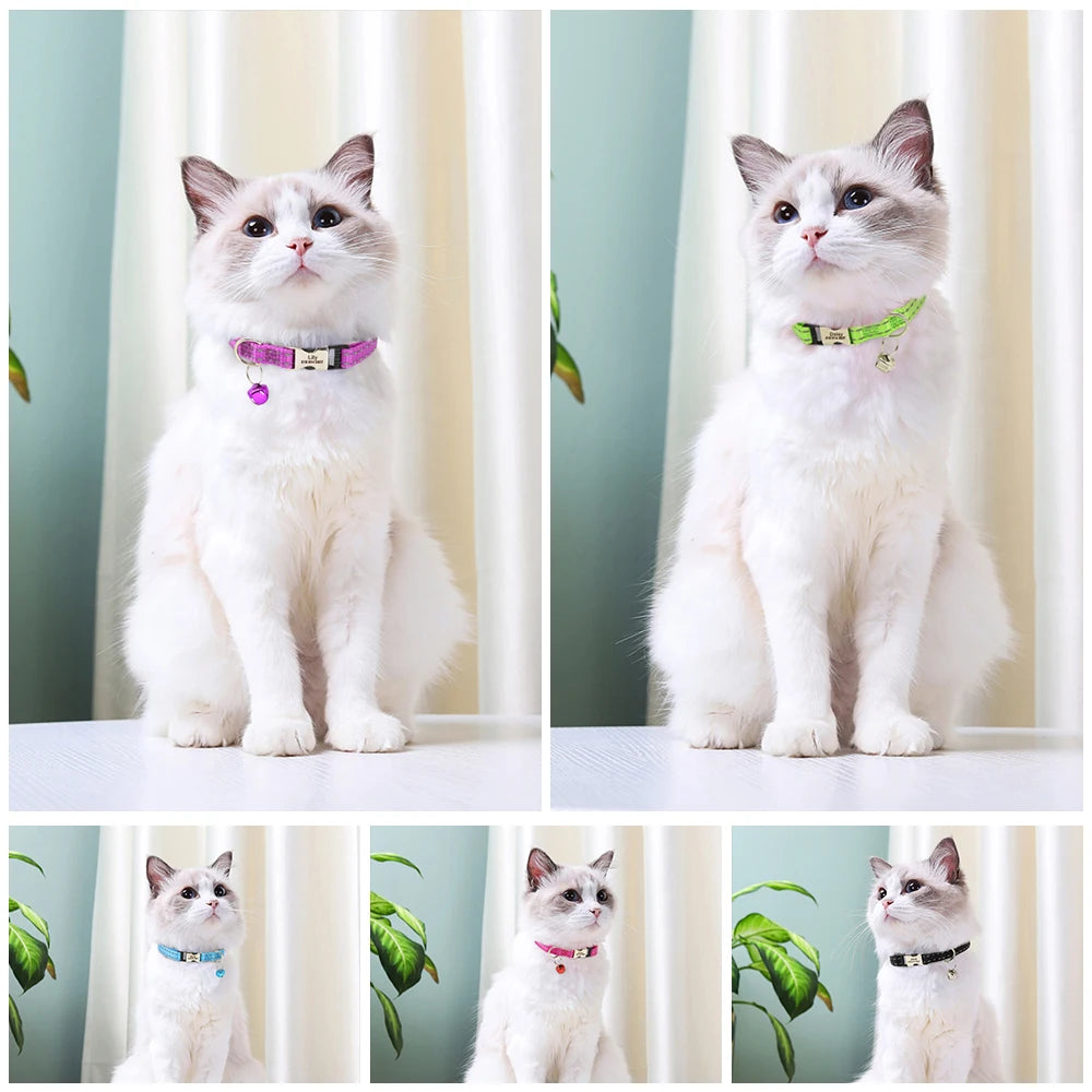Collier chat réfléchissant sécurité optimale
