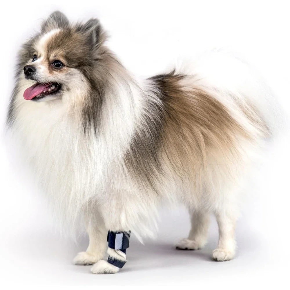 Splint Carpal Hyperextension Dog Brace ,Supports Fractures Sprains, Front Leg Support (Small Breeds)  Ankle Splint Brace