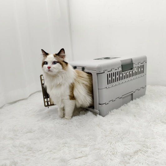 Portable Collapsible Pet Carrier Crate for Outdoor Travel Trips and Shipment Plastic Cat Kitten Travel Cage