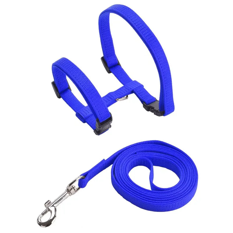 Kitten Cat Harness Leash Set Walking Escape Proof Adjustable Nylon Halter Collar Harness for Cats Puppy Rabbit Pet Accessories