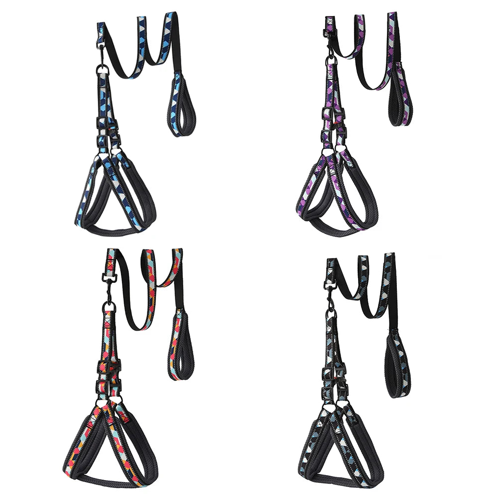 Dog Harness and Leash Set No Pull Reflective, Adjustable Padded Vest Harness for Small Medium Large Dogs, Easy Control Pet Walki