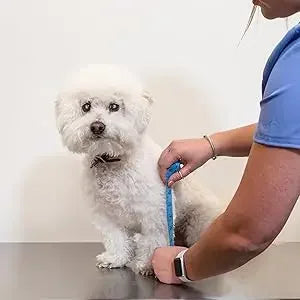 Splint Carpal Hyperextension Dog Brace ,Supports Fractures Sprains, Front Leg Support (Small Breeds)  Ankle Splint Brace