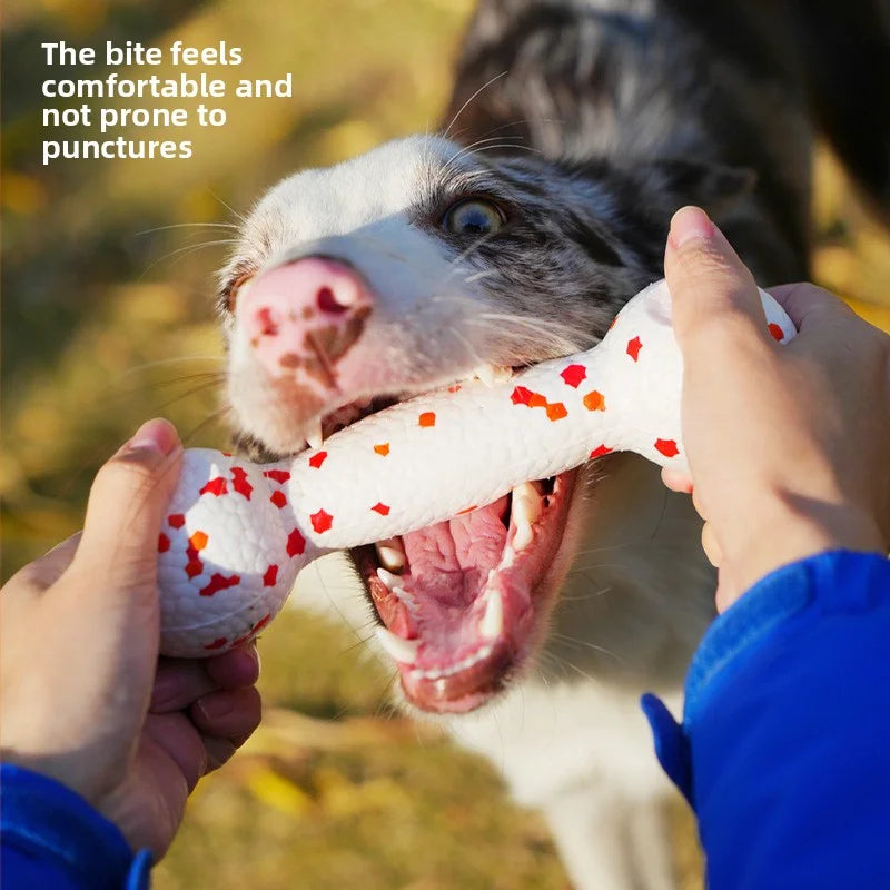 Dog interactive training toy with rope and bone for chewing - perfect for pet playtime!