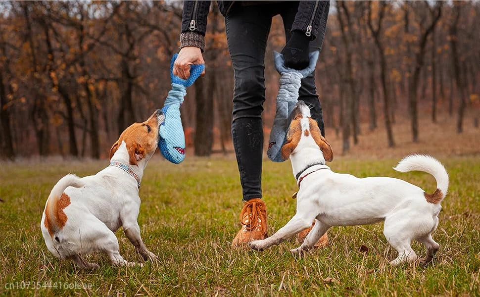 Squeaky Dog Toys for Aggressive Chewers Small Mediym Large Dog Golden Toys to Keep Them Busy Interactive Puppy Toys Tug of War