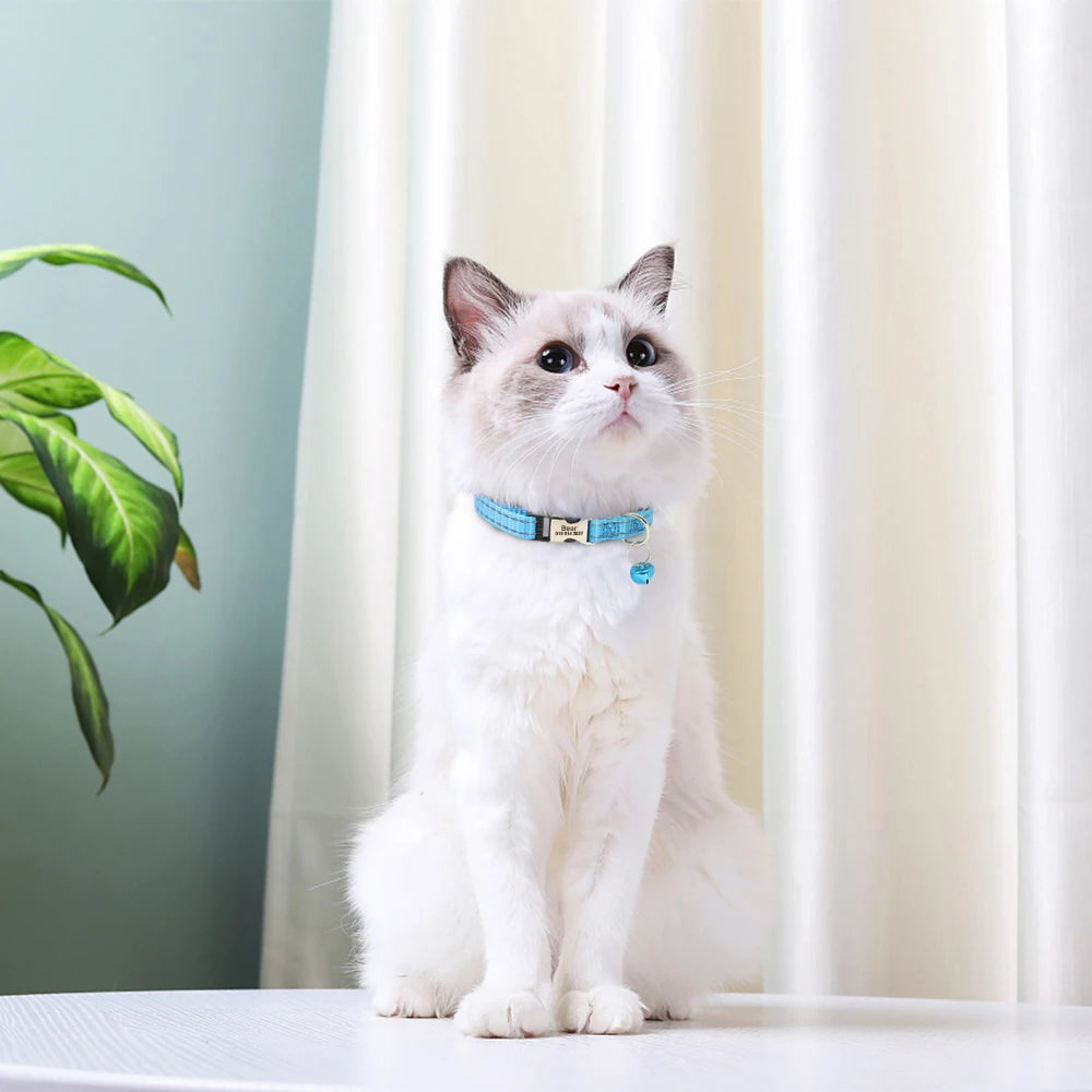 Collier chat réfléchissant sécurité optimale
