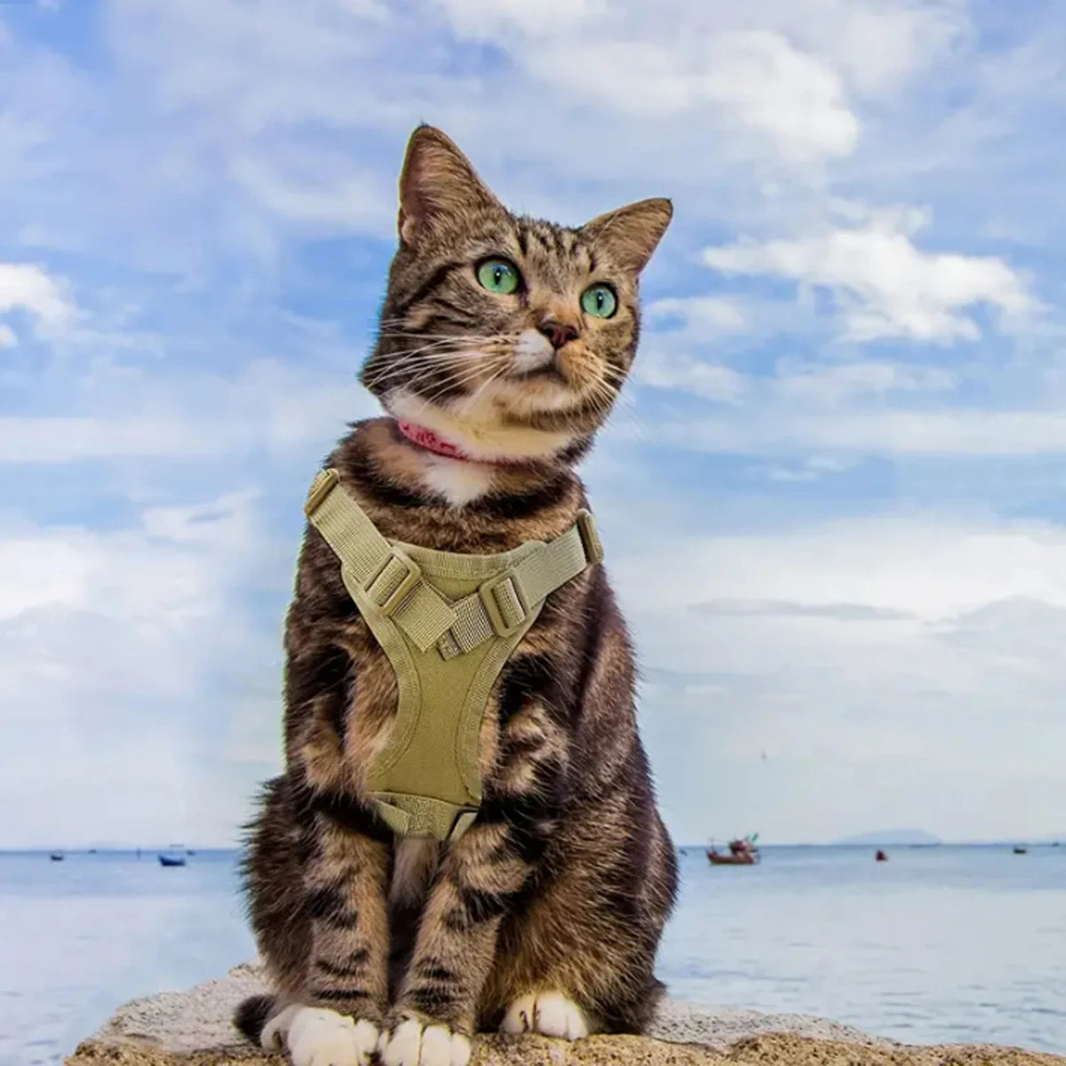 Khaki tactical cat chest harness vest lead rope anti-break adjustable walking cat leash dog small dog chain