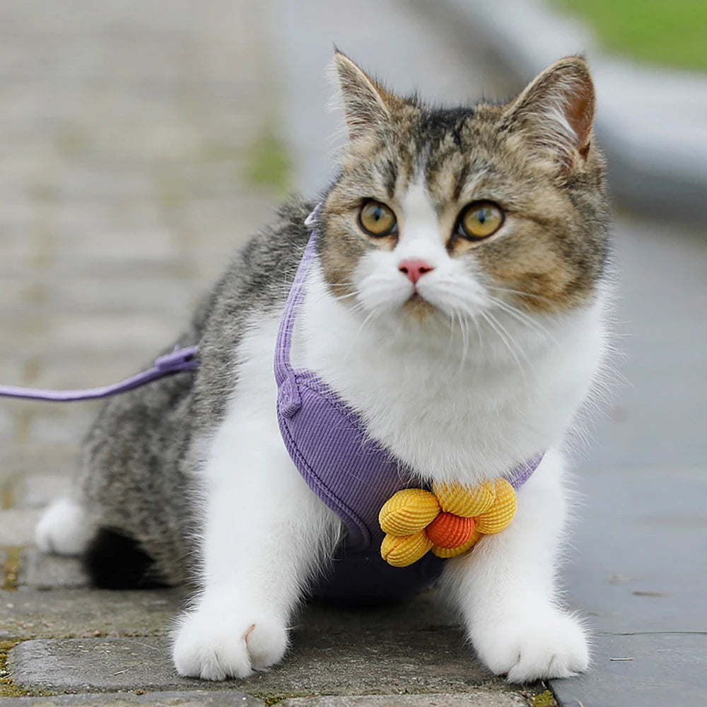 Floral Print Cat Harness and Leash Set, Adjustable Escape-Proof Soft Mesh Vest, Reflective Kitten Harness for Walking, Training,