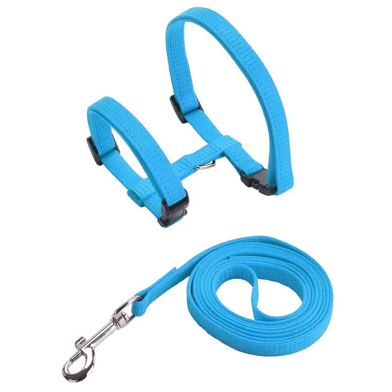 Kitten Cat Harness Leash Set Walking Escape Proof Adjustable Nylon Halter Collar Harness for Cats Puppy Rabbit Pet Accessories
