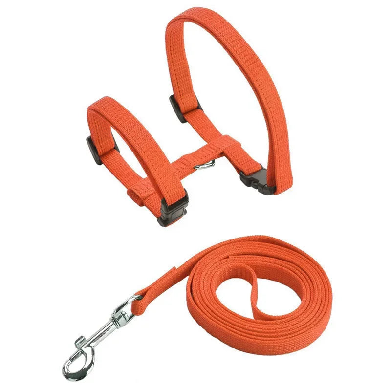 Kitten Cat Harness Leash Set Walking Escape Proof Adjustable Nylon Halter Collar Harness for Cats Puppy Rabbit Pet Accessories