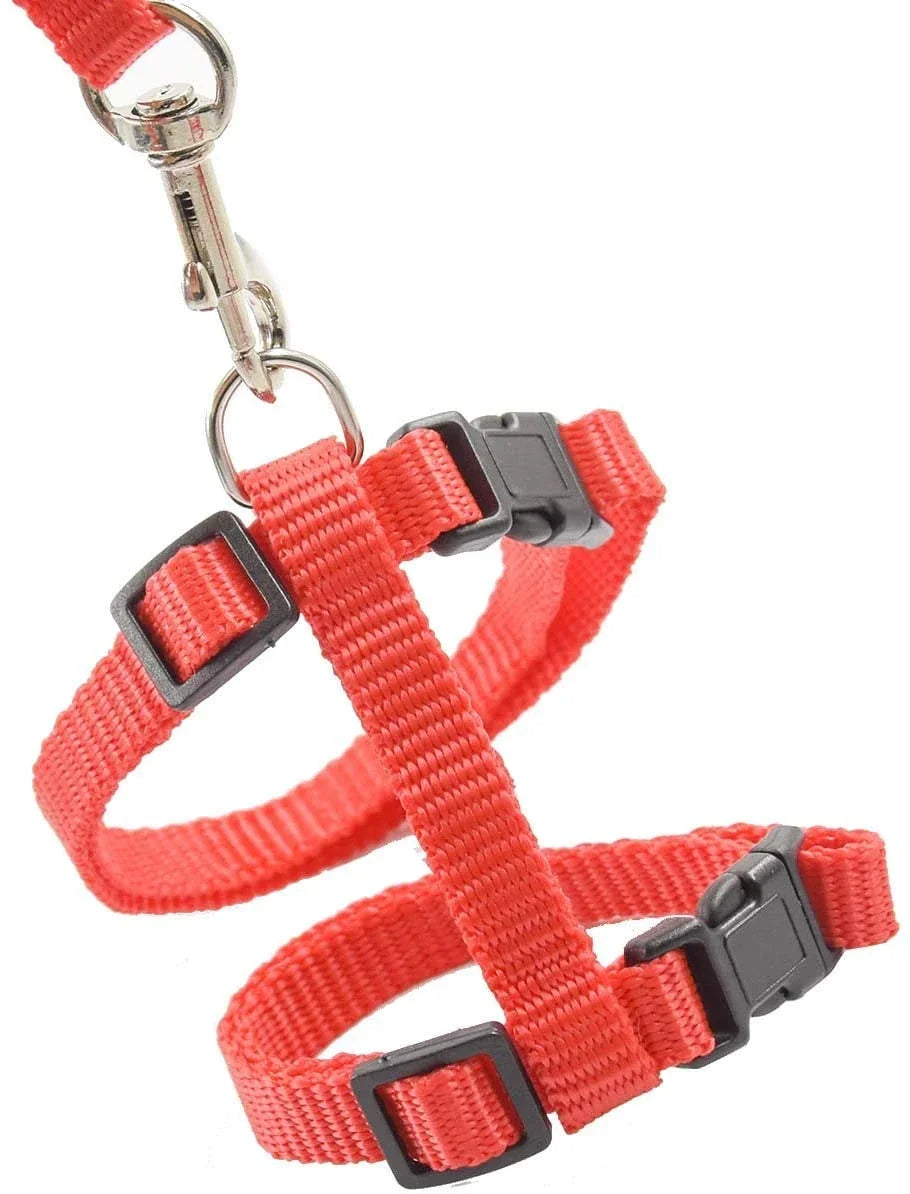 Kitten Cat Harness Leash Set Walking Escape Proof Adjustable Nylon Halter Collar Harness for Cats Puppy Rabbit Pet Accessories