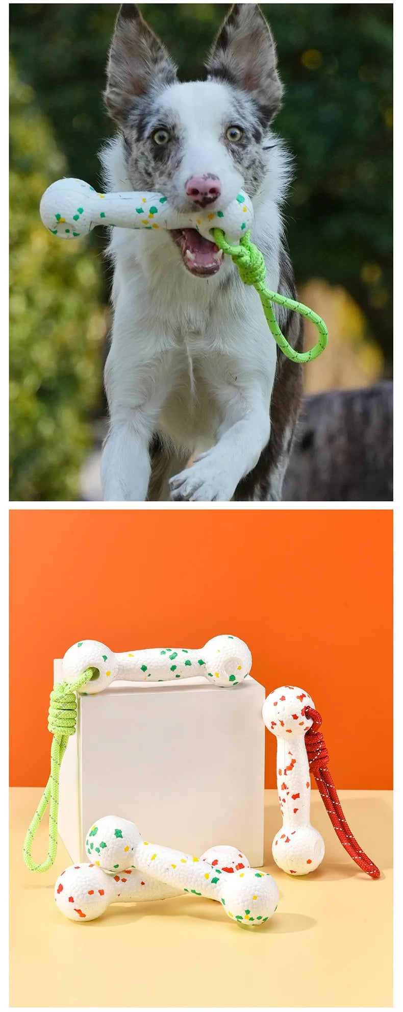 Dog interactive training toy with rope and bone for chewing - perfect for pet playtime!