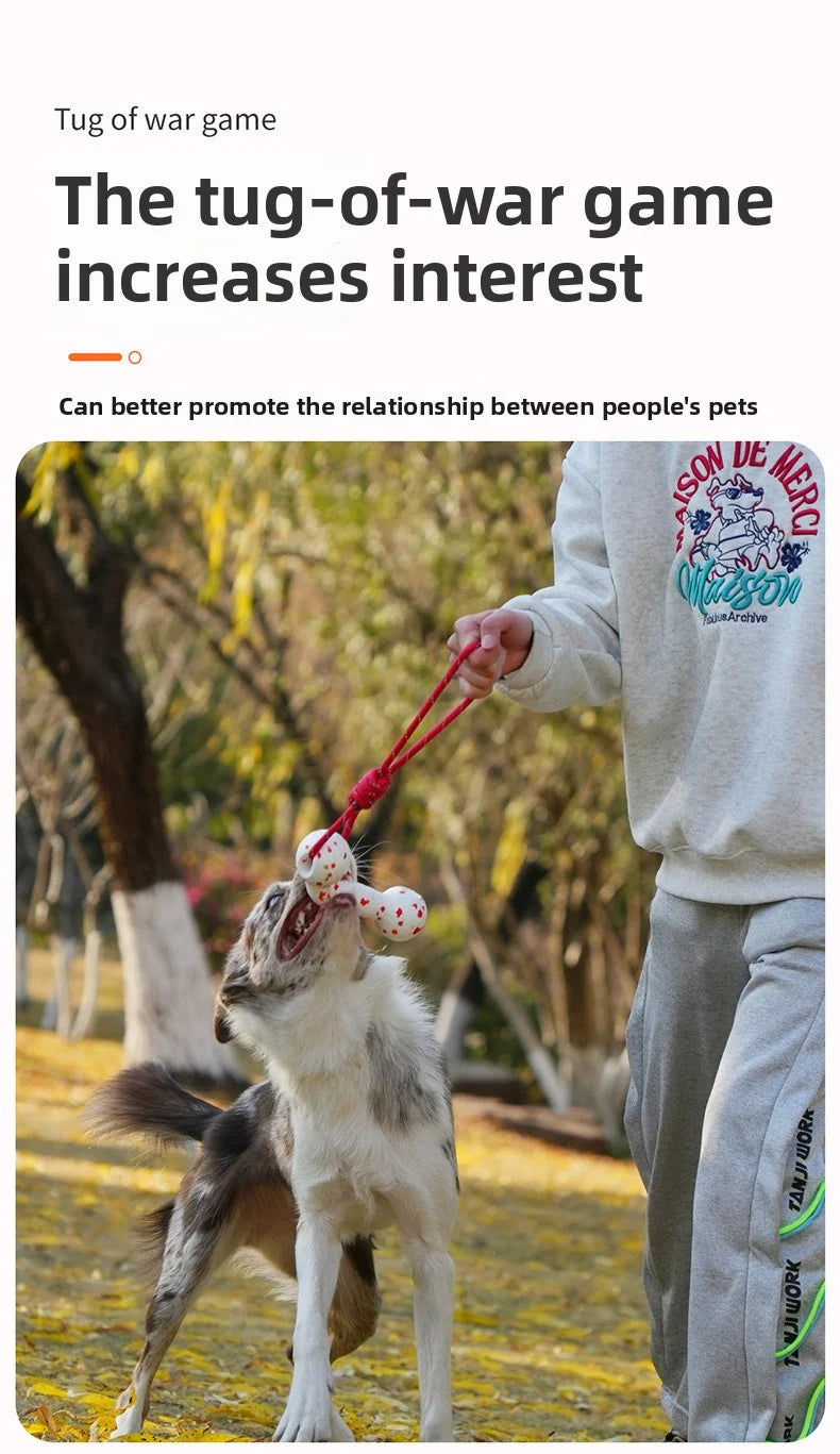 Dog interactive training toy with rope and bone for chewing - perfect for pet playtime!