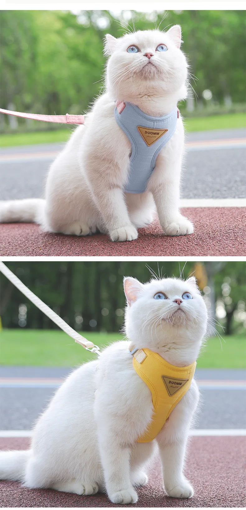 New pet leash anti-break free cat walking leash out pet chest strap adjustable cat leash