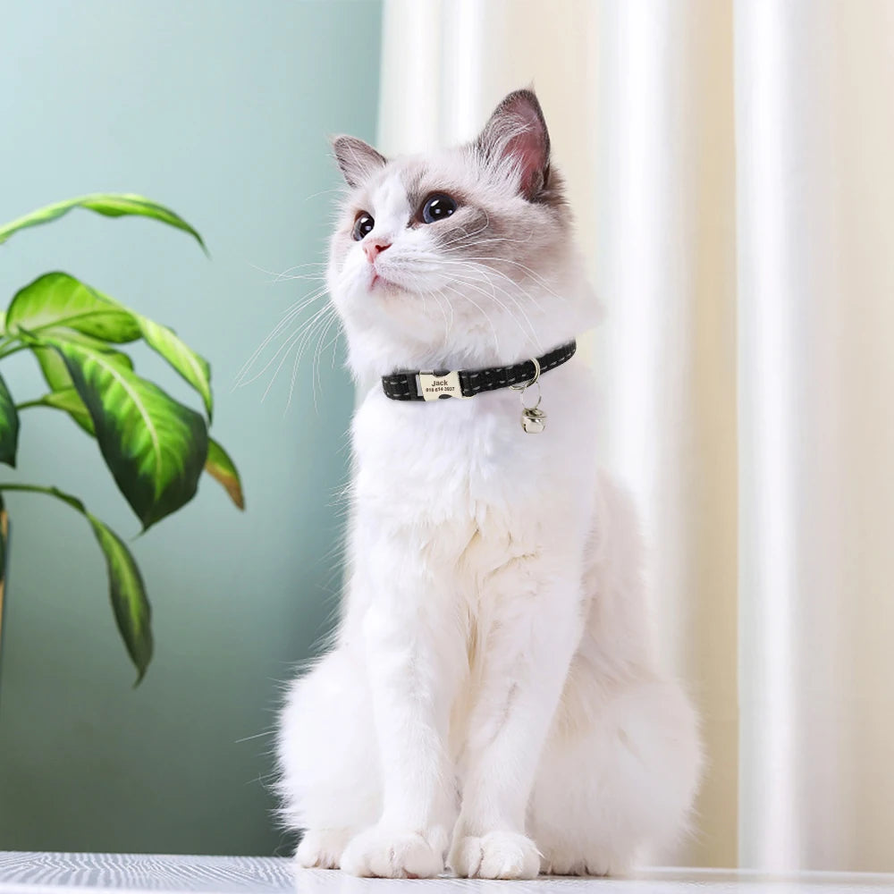 Collier chat réfléchissant sécurité optimale
