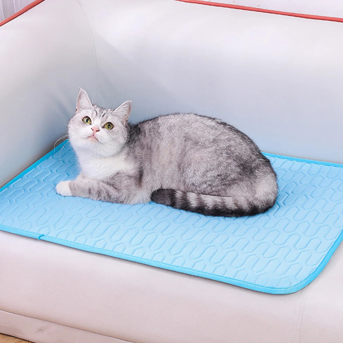 Ice Fabric Cat Bed Cooling Dog Summer Bed for Small Dog Mat Non-slip Cat Sleeping Mat Pet Mat for Dog Chihuahua French Bulldog