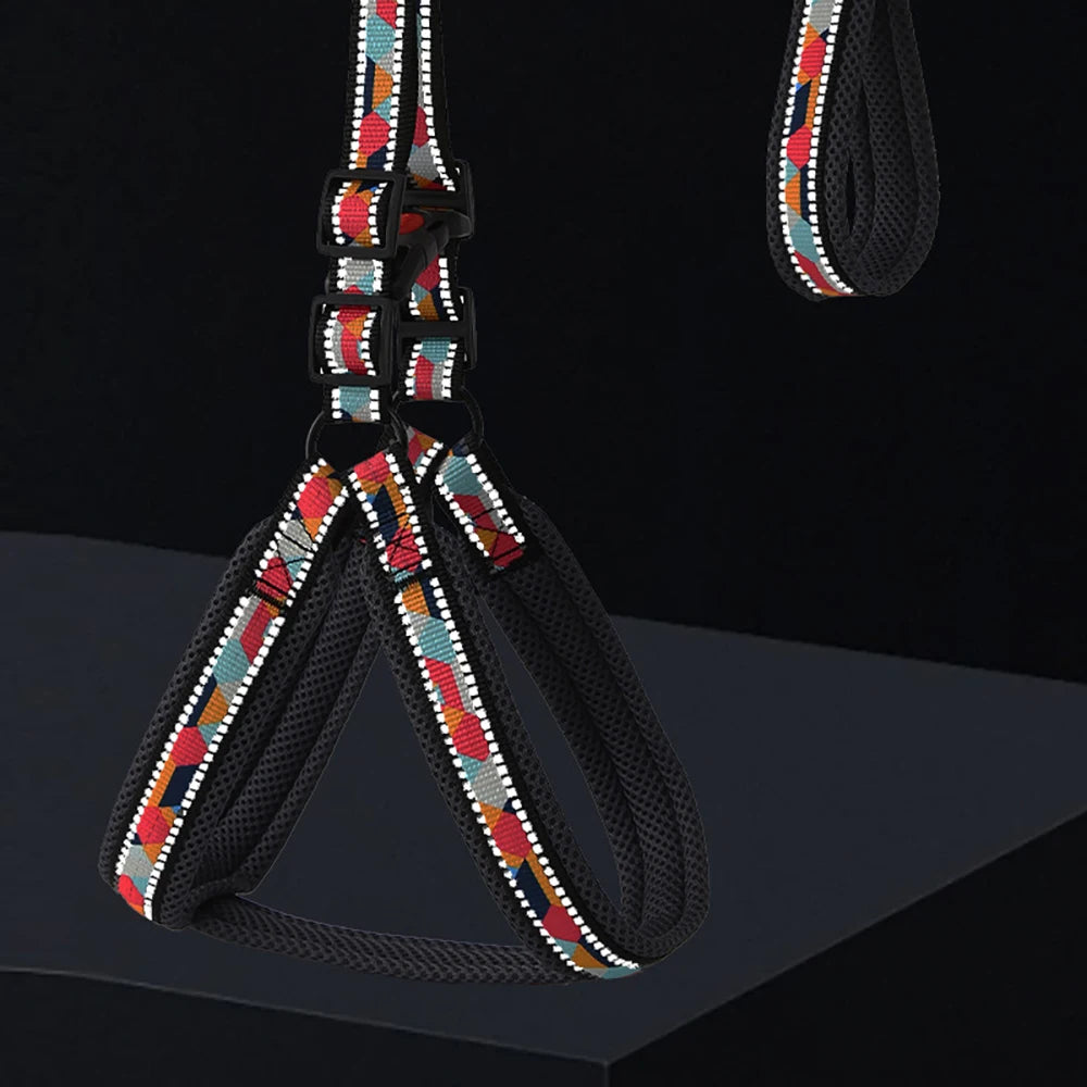 Dog Harness and Leash Set No Pull Reflective, Adjustable Padded Vest Harness for Small Medium Large Dogs, Easy Control Pet Walki