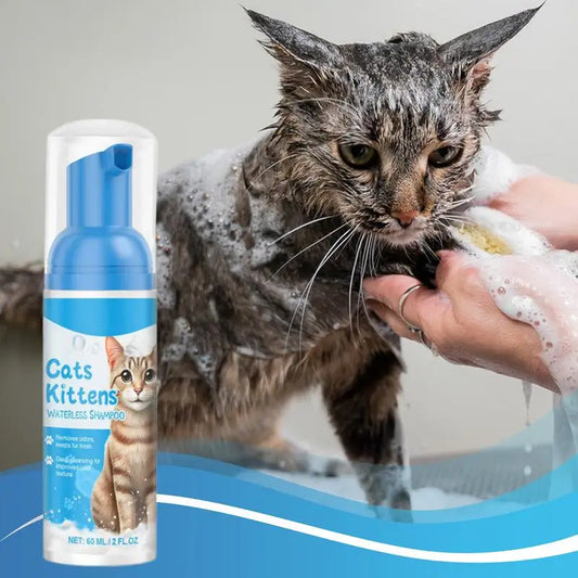 Cat Dry Shampoo Waterless Cat Shampoo Licking Safe Dry Shampoo 60ml Gentle Foam Shampoo For Cats Deep Cleansing Relieves Itchy