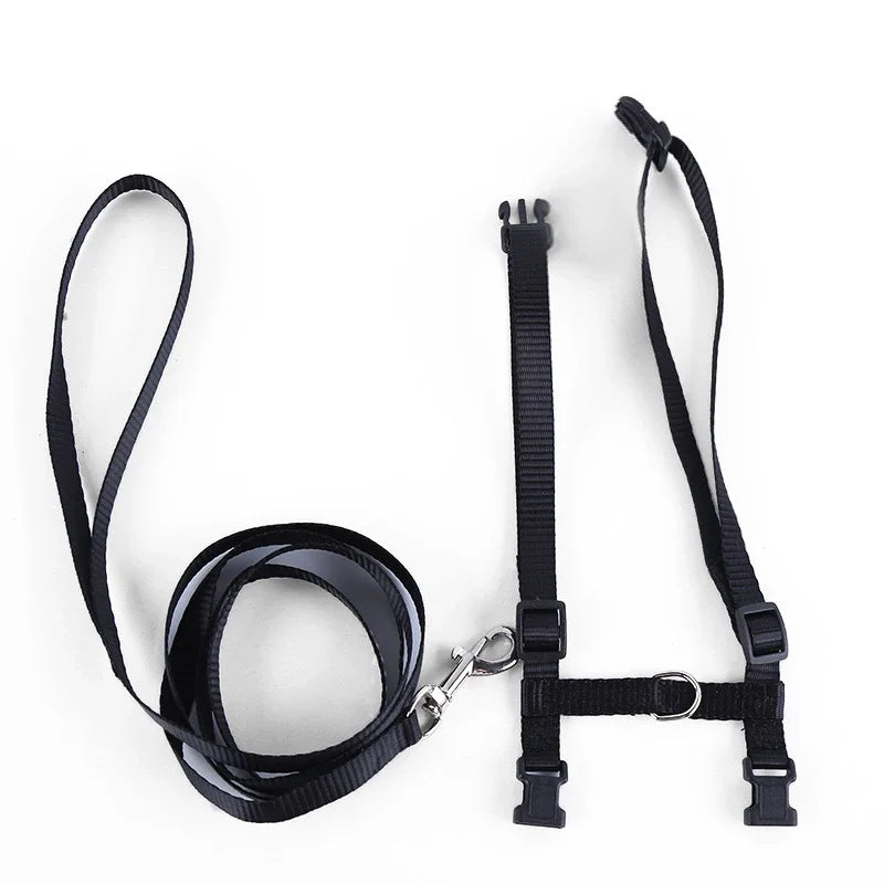 Kitten Cat Harness Leash Set Walking Escape Proof Adjustable Nylon Halter Collar Harness for Cats Puppy Rabbit Pet Accessories
