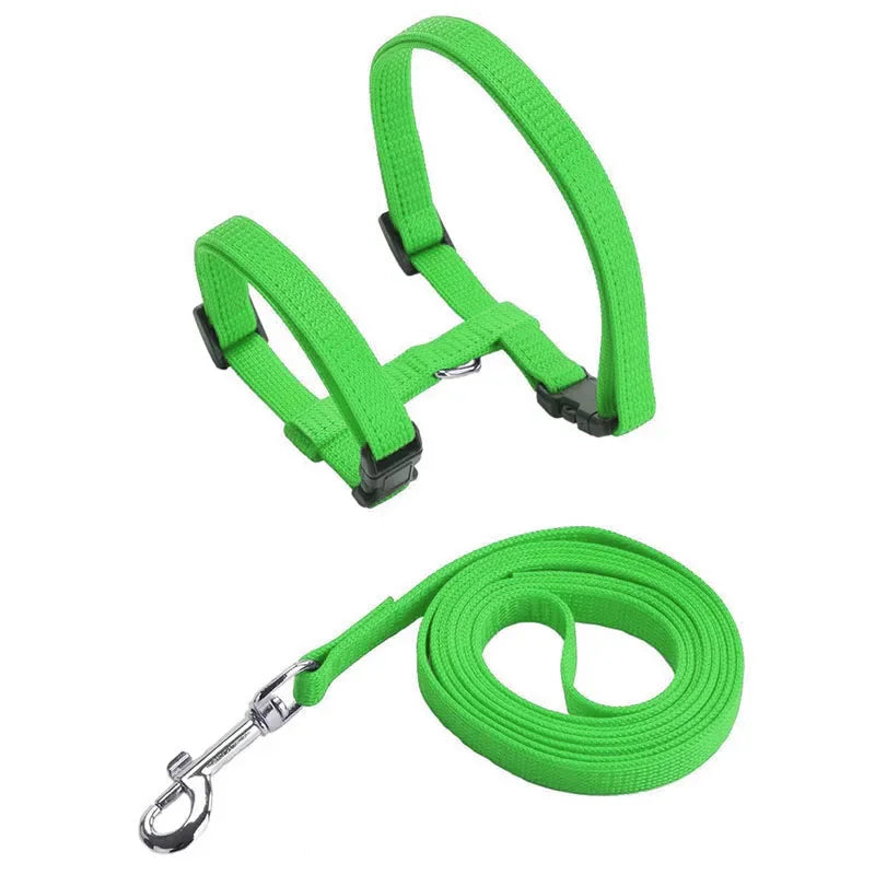 Kitten Cat Harness Leash Set Walking Escape Proof Adjustable Nylon Halter Collar Harness for Cats Puppy Rabbit Pet Accessories