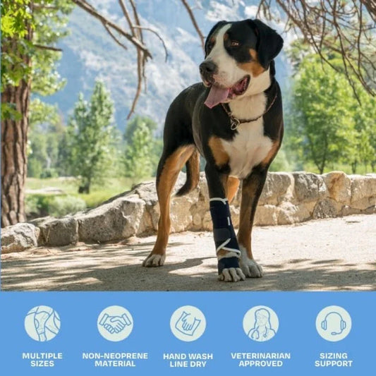 Splint Carpal Hyperextension Dog Brace ,Supports Fractures Sprains, Front Leg Support (Small Breeds)  Ankle Splint Brace